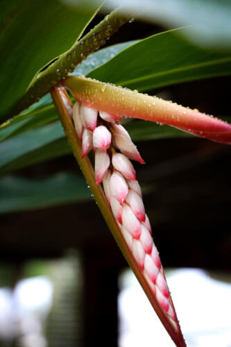 reveillon-28-12-2020-055