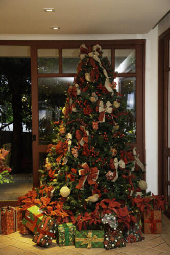 natal-JPH-032