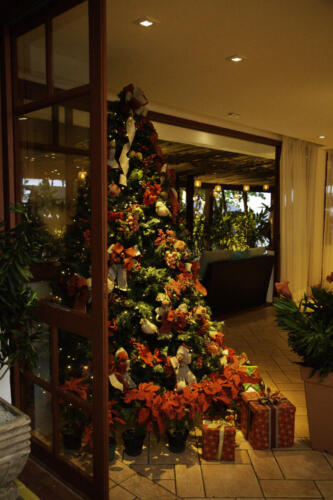 natal-JPH-033