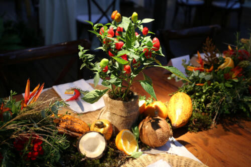 reveillon--31-12-2020-festa-002