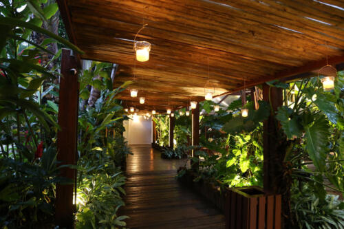 reveillon--31-12-2020-festa-015