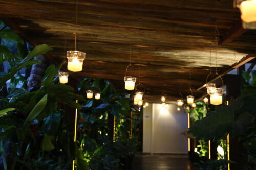 reveillon--31-12-2020-festa-016