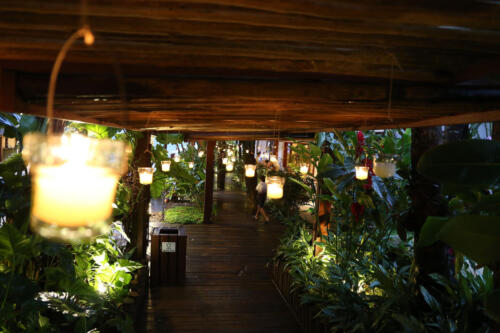 reveillon--31-12-2020-festa-017