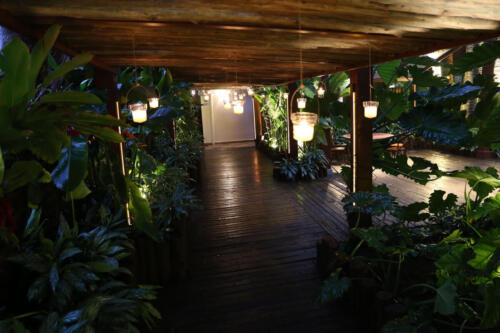 reveillon--31-12-2020-festa-018