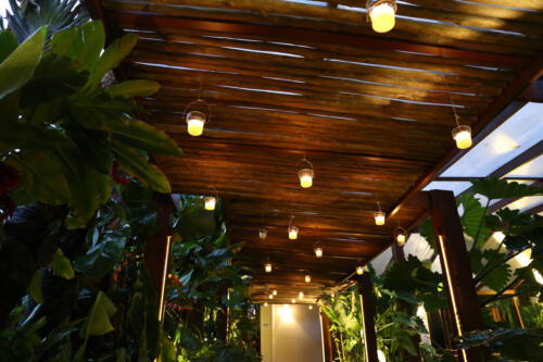 reveillon--31-12-2020-festa-019