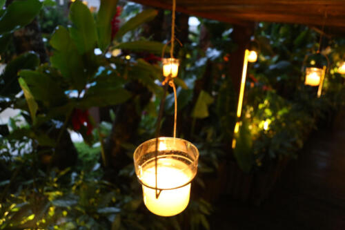 reveillon--31-12-2020-festa-020