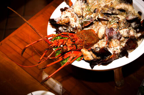 reveillon--31-12-2020-festa-084