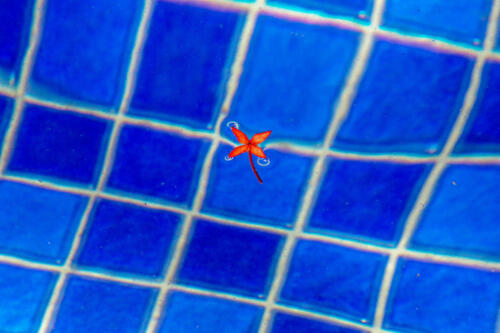 reveillon-30-12-2020-081